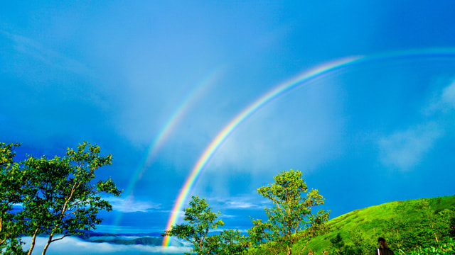 虹の写真